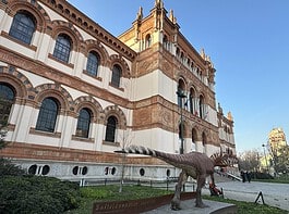 Halloween al Museo di Storia Naturale di Milano 
