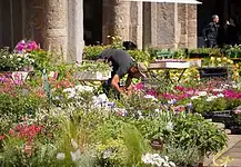 Flora et Decora: piante, artigianato e sapori a Sant’Ambrogio Flora et Decora: piante, artigianato e sapori a Sant’Ambrogio