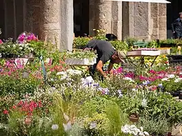 Flora et Decora: piante, artigianato e sapori a Sant’Ambrogio