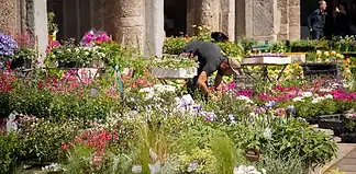 Flora et Decora: piante, artigianato e sapori a Sant’Ambrogio