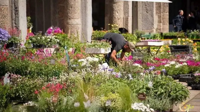 Flora et Decora: piante, artigianato e sapori a Sant’Ambrogio