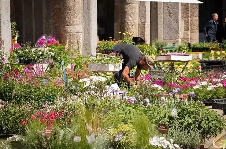 Flora et Decora: piante, artigianato e sapori a Sant’Ambrogio