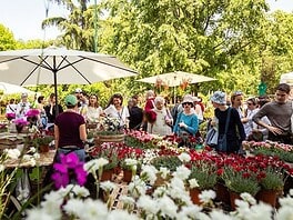 Piante Maestre Festival: programma, talk e attività