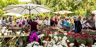 Piante Maestre Festival: programma, talk e attività
