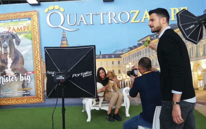 Quattrozampeinfiera a Milano: programma, biglietti e attività Quattrozampeinfiera a Milano: programma, biglietti e attività